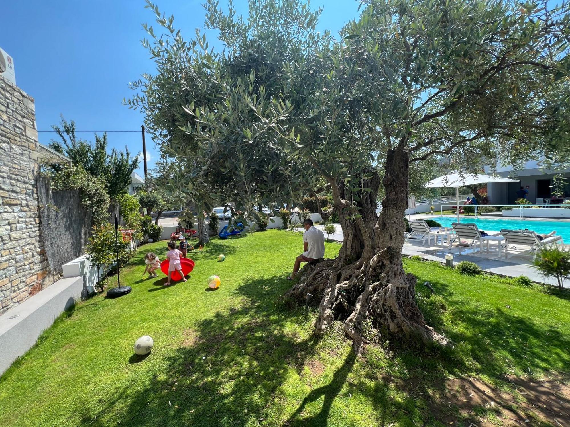Thassos Olivia Holiday home Potos