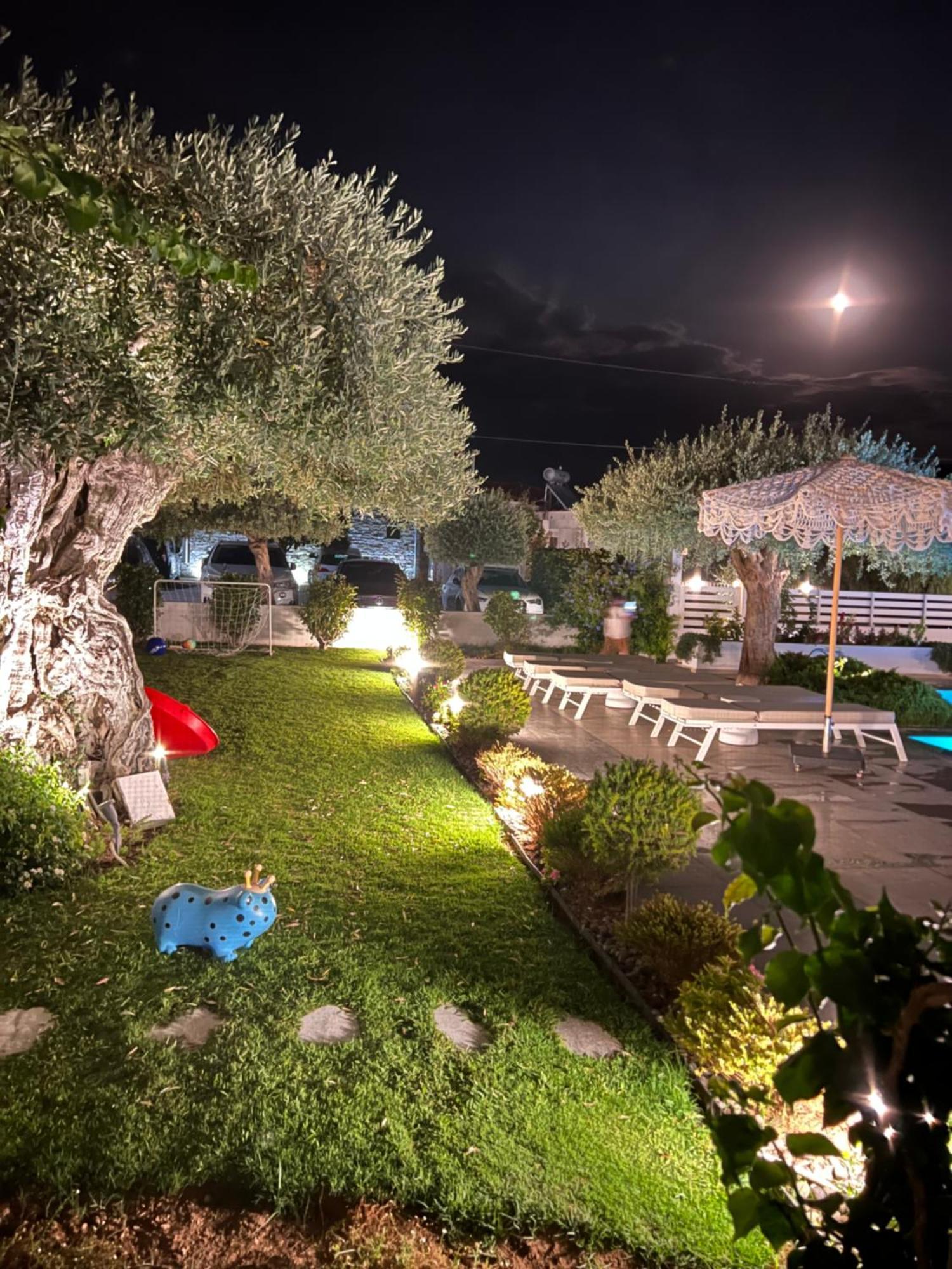 Thassos Olivia Holiday home *